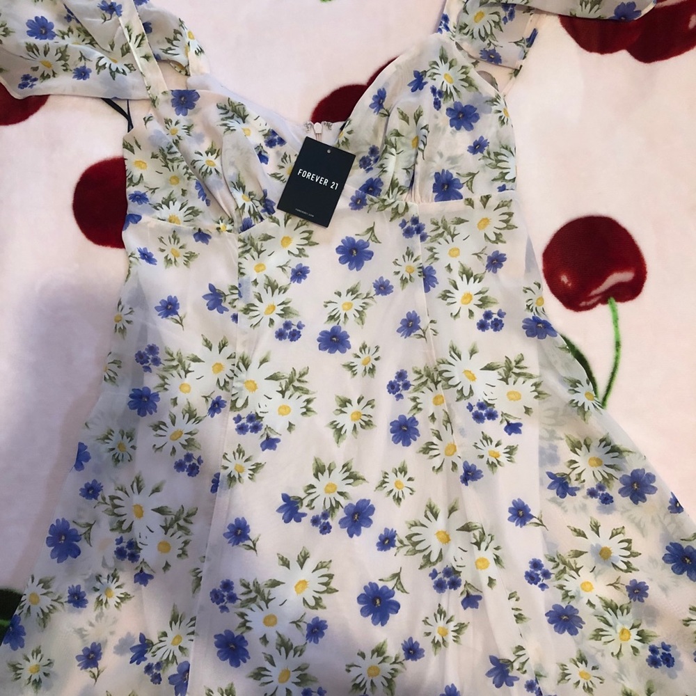 Forever 21 Floral Chiffon Dress